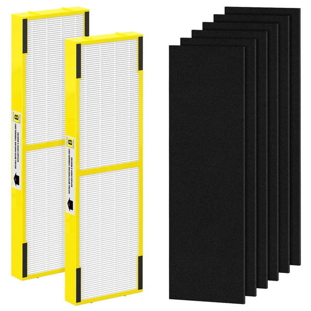 SAKEGDY FLT4825 HEPA Filter B Compatible with Air Purifier models AC4825 AC4300 AC4800 AC4900 AC4850, 2 True HEPA Filters + 6 Acti