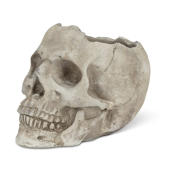 Set of 4 Large Skull Planter