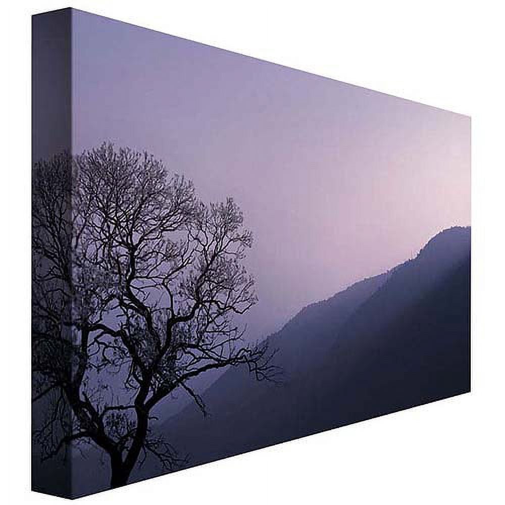 Philippe Sainte Laudy 'Purple Hours' Canvas Art