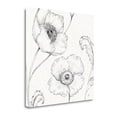 thumbnail image 2 of 20x20 Blossom Sketches I By Daphne Brissonnet Print on Canvas Fabric Multi-Color, 2 of 2