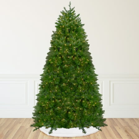 Northlight 12' Pre-lit Northern Pine Full Artificial Christmas Tree - Warm Clear LED Lights
