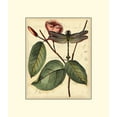 thumbnail image 2 of Vision Studio 20x22 White Modern Wood Framed Museum Art Print Titled - Petite Dragonflies IV, 2 of 4