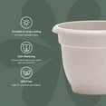 thumbnail image 3 of Bloem Ariana 6" Self-Watering Plastic Planter - Rolled Rim Indoor/Outdoor Garden Pot, Vanilla Bean, 3 of 8