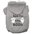 thumbnail image 5 of Halloween Pet, Dog  Cat Hoodie Screen Printed, "Here For The Boos", 5 of 10