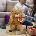 thumbnail image 3 of Brown Teddy Bear Plush Pillow with Red Bouquet, Cute Teddy Bear Stuffed Animal Gift for Girlfriend Boyfriend & Bosom Friend, Perfect for Christmas Valentine Birthday Wedding, 3 of 8