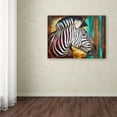 thumbnail image 3 of Trademark Fine Art 'Zebra Stripes' Canvas Art by Corina St. Martin, 3 of 3