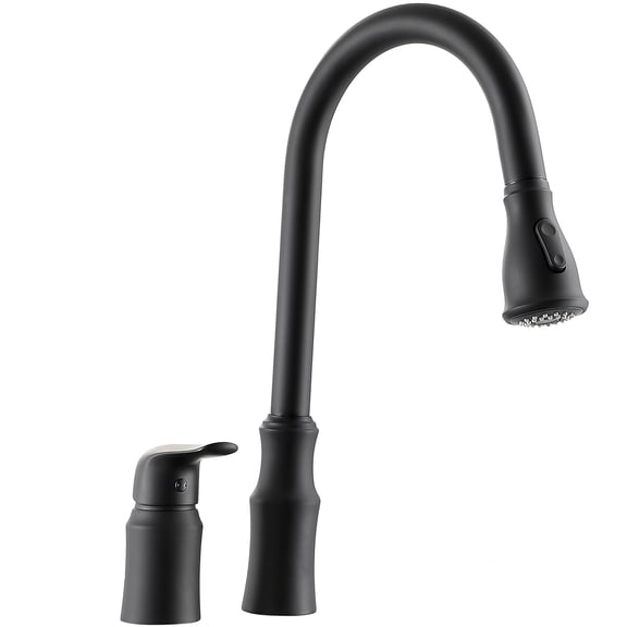 Matte Black Kitchen Sink Faucet with Separate Handle