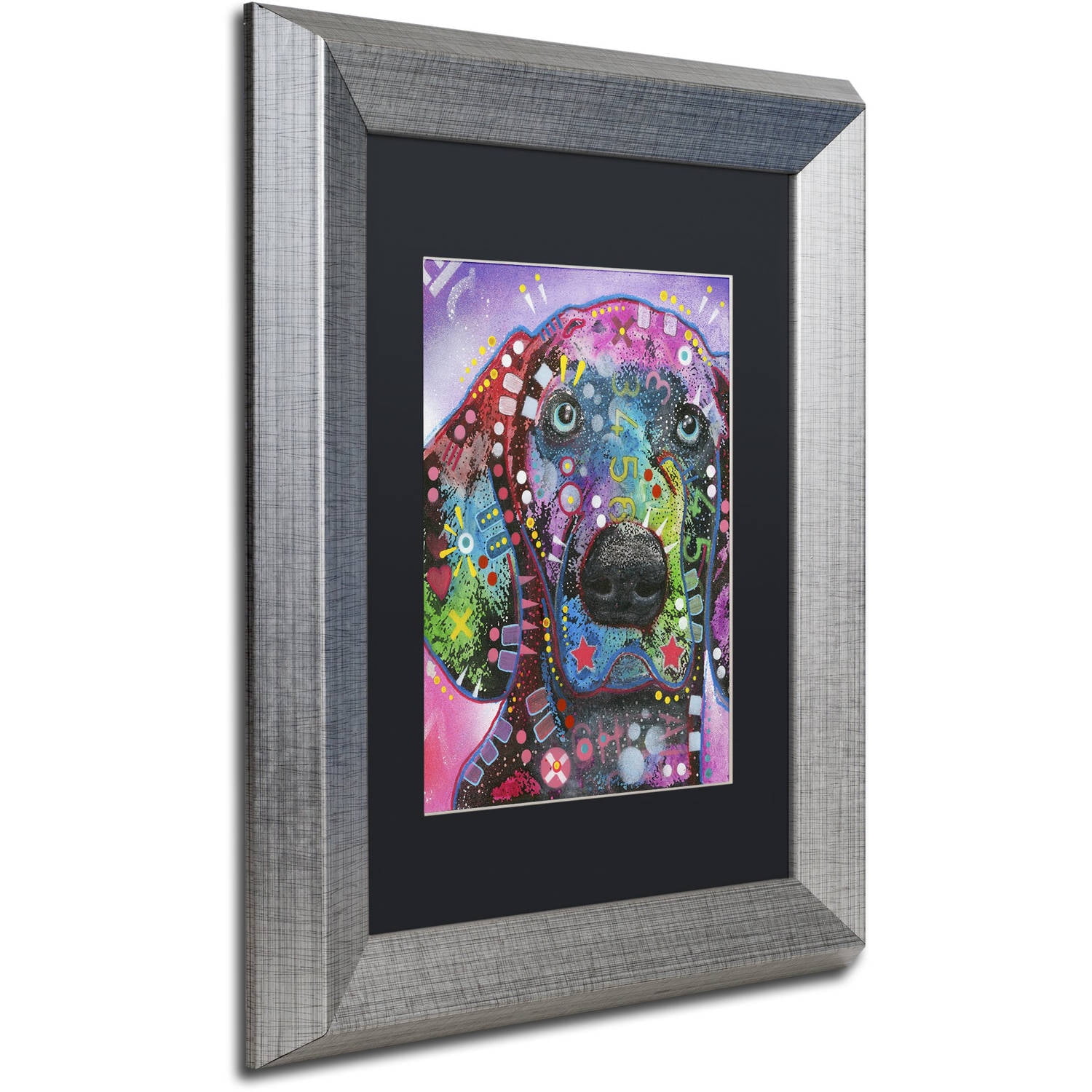 Trademark Fine Art "Purple Excitement" Canvas Art by Dean Russo, Black Matte, Silver Frame