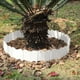 thumbnail image 4 of Borde de Borde de Jardín de Plástico - Valla decorativa de 10 piezas para parterres, senderos y céspedes, 14x15cm, Negro/Blanco/Rojo/Verde, 4 of 6