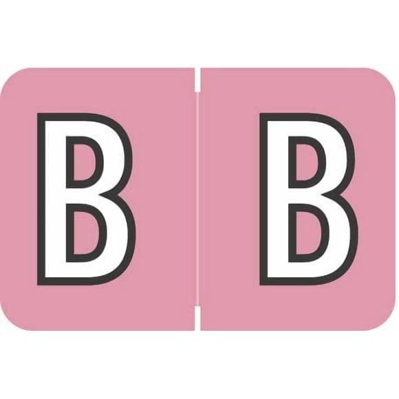 Doctor Stuff - File Folder Labels, Alphabet Letter B, Barkley/Sycom FABKM - BRAM Series Compatible Alpha Stickers, Pink, 1" x 1-1/2", 225 Labels per Package