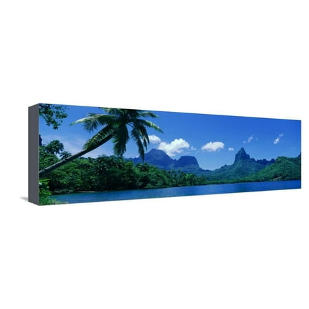 Tahiti Rocks - Lush Foliage and Rock Formations, Moorea Island, Tahiti Stretched Canvas Print Wall Art