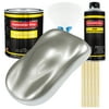 Restoration Shop Brilliant Silver Firemist Acrylic Enamel Auto Paint, Complete Gallon Paint Kit, Single Stage High Gloss