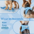 thumbnail image 3 of Chaleco Dog Harness Rabbitgoo, pequeño, de malla suave, para cachorros, azul, 3 of 6