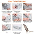 thumbnail image 5 of NewHome Humane Mouse Trap Dual Door Rat Trap Cage with 2 Detachable U Shaped Rod, 16.53x6.1x4.33in, 5 of 11