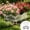 2Pcs garden fence Under $5 a1, variant on Werulen Garden Lawn Fence White Floral Bird Style, Yard Vegetable Garden Flower Bed Border, Outdoor Landscape Decorative Partition, Garden Greenery Area Divider, Patio Space Planning