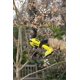 thumbnail image 4 of Tijeras de Jardín Ryobi RY18SCA-0 Inalámbricas 18V Corte de 25 mm, 4 of 9