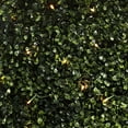 thumbnail image 4 of Vickerman 48"Artificial Boxwood Hedge With 400 Warm White LED Lghts., 4 of 8