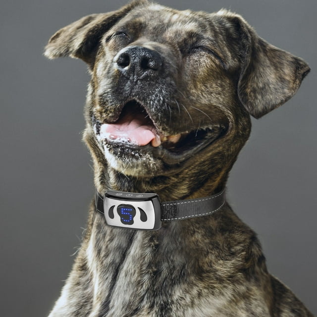 Voice Control Automatic Waterproof Dog Training Collar Shock Anti Bark Collar USB ChargingSilver