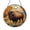 Acrylic 3.5 Inch, variant on Wildlife Scene Glass Window Panel with Buffalo and Fall Tree Design, Decorative Light Catching Art for Home Window Spaces