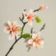 thumbnail image 3 of Ramo de flores falsas Magnolia, arreglo floral de simulación for sala de estar, centro de mesa de comedor, flores artificiales de alta calidad, 3 of 5
