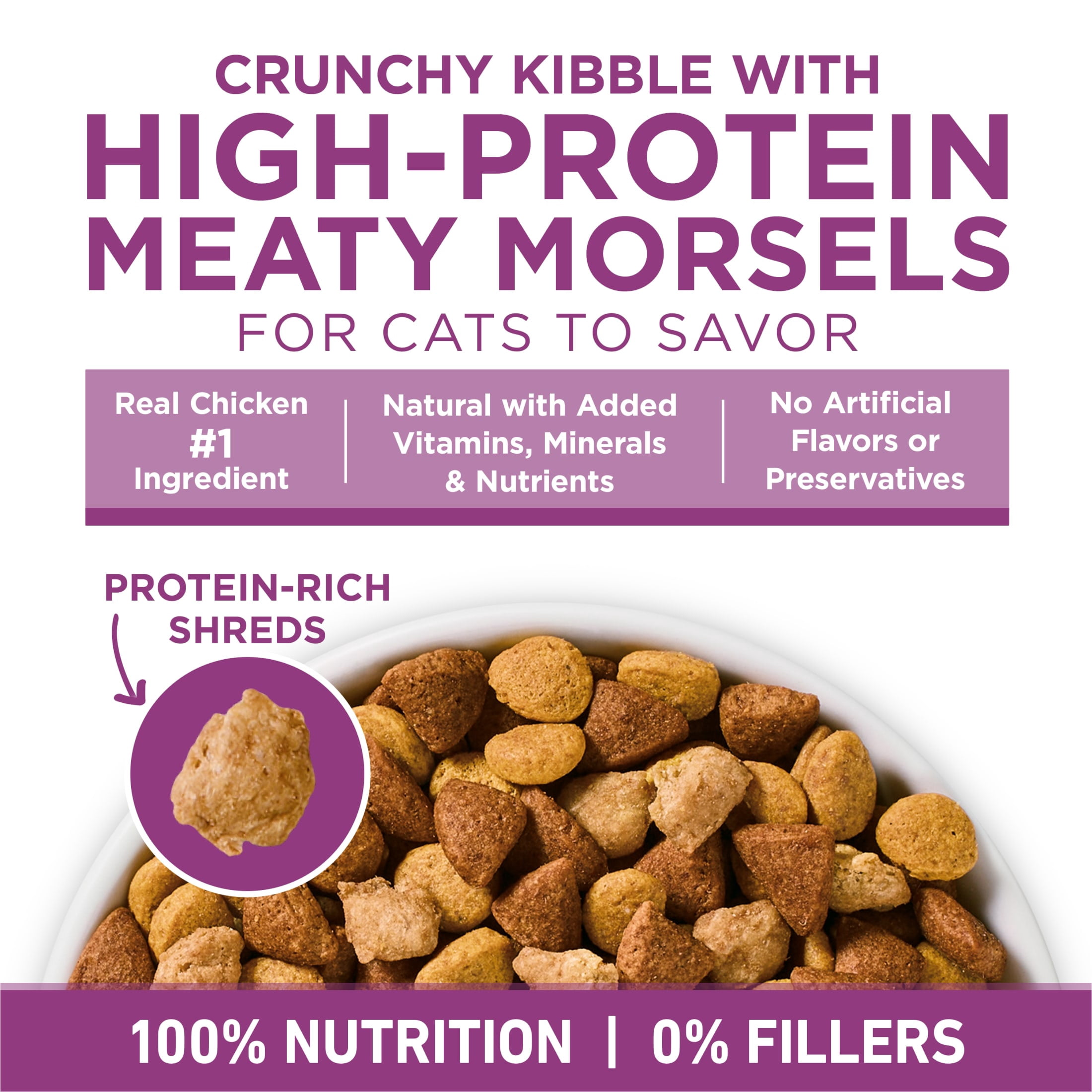 Purina ONE Plus Whole Body Support With Chicken Dry Cat Food, 22 lb.
