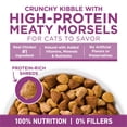 thumbnail image 3 of Purina ONE Plus Whole Body Support With Chicken Dry Cat Food, 16 lb., 3 of 8
