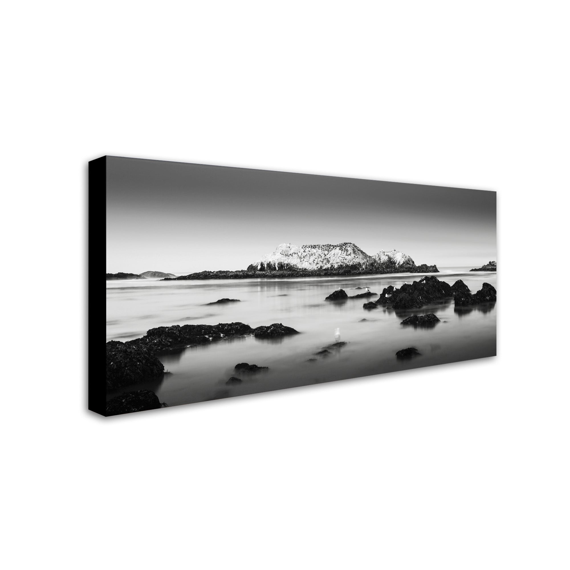 Trademark Fine Art Dave MacVicar 'The Gathering' 24 x 47 (ALI0860-C2447GG)