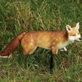 thumbnail image 2 of Fox 3D Decoy Goose Duck Repellent Realistic Predator Moving Tail, 2 of 3