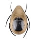 thumbnail image 1 of Chico niño energía Solar lindo insecto modelo inteligente ciencia educativa juguete de aprendizaje, 1 of 9