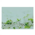 thumbnail image 2 of Flower Cutting Board, White Springtime Blossoms on Tree Branch Freshness Garden Growth Seasonal Nature, Decorative Tempered Glass Cutting and Serving Board, Large Size, White Green, by Ambesonne, 2 of 5