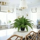 thumbnail image 5 of pstuiky Helecho persa de seda artificial, planta verde, decoración navideña, 5 of 6