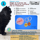 thumbnail image 4 of Arenero KE WOOW para Gato Grande Cerrado Azul, 4 of 10