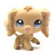 thumbnail image 1 of LPS-tienda de mascotas de PVC para niños, juguetes en polvo, gato grande, perro Dan, animal pequeño, acción de pie, regalo de Navidad qym unisex, 1 of 2