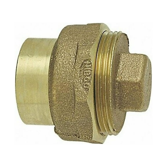 Nibco DWV Fitting Cleanout,Cast Bronze,2 In 816 2