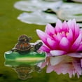 thumbnail image 5 of HEALEEP Water Pond Decorations Assorted Color Floating Turtle 1Pack, 5 of 6