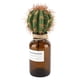 thumbnail image 5 of Planta De Plástico Flores Artificiales Bola De Cactus Sin Maceta ANGGREK Otros, 5 of 8
