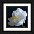 thumbnail image 1 of Murdock, Ramona 26x26 Black Ornate Wood Framed with Double Matting Museum Art Print Titled - Drama Queen III, 1 of 4