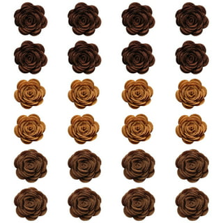 Hippy Psychedelic Rose Varieties - Jet Fresh Flower Distributors