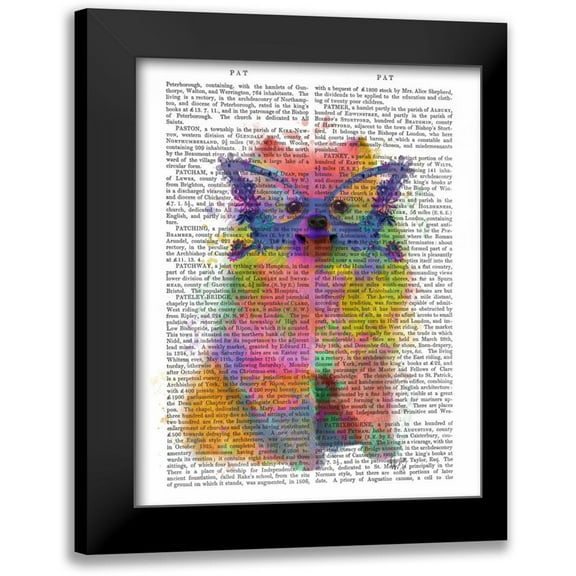 Fab Funky 12x14 Black Modern Framed Museum Art Print Titled - Rainbow Splash Pomeranian