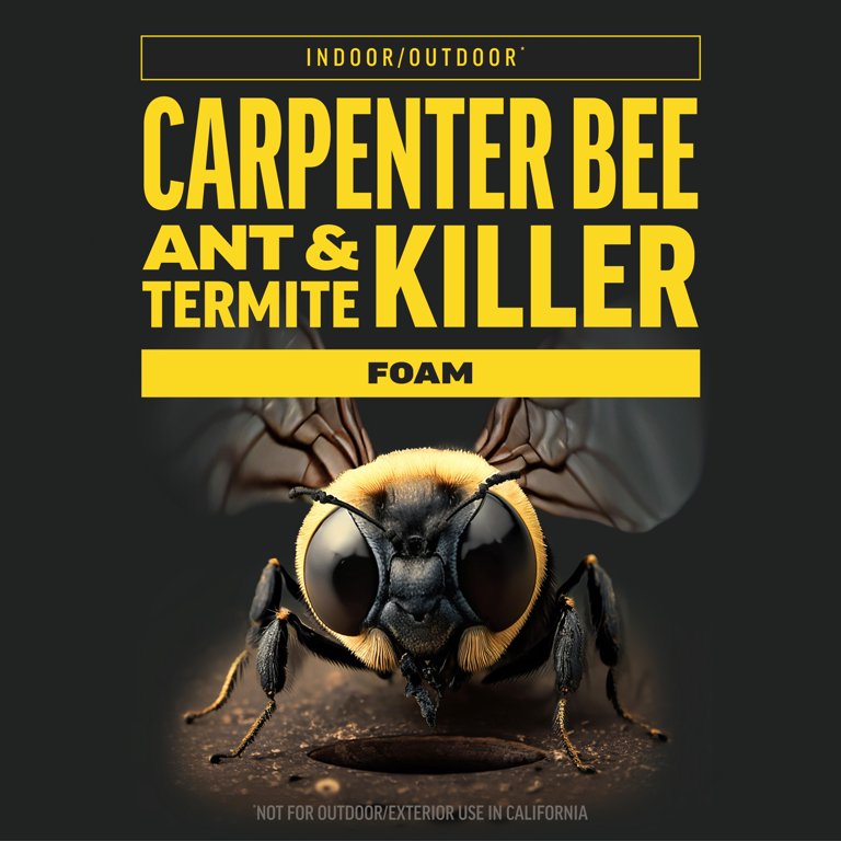 Amdro Quick Kill Carpenter Bee, Carpenter Ant & Termite Killer