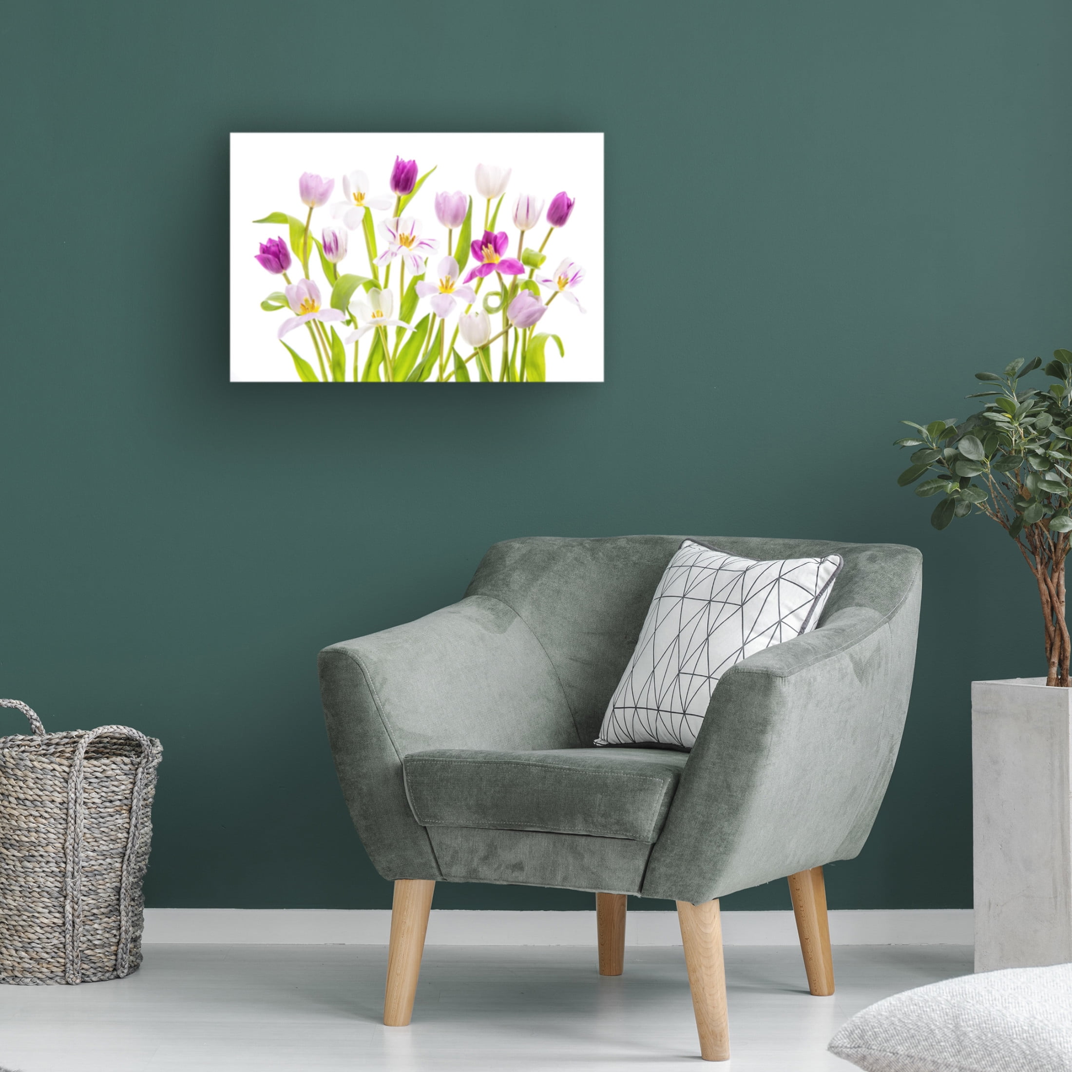 Canvas Wall Art - Jacky Parker 'Tulipa Spring' Wall Art for Living Room, Bedroom, or Office Décor by Trademark Fine Art - 19 x 12 Inches
