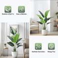 thumbnail image 5 of 48 Inch Artificial Canna with Texture - Lifelike Simulated Greenery Decorations (2 Pack), 5 of 7