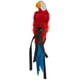Perroquet avec Sangle Élastique Pirate Ara 20" Accessoire d'Épaule Costume Oiseau – image 2 sur 4