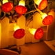 thumbnail image 4 of Guirnalda de luces LED con forma de seta, funciona con pilas, luz de hadas, decoración para fiestas de jardín, Navidad, bodas, fiestas del Día de San Valentín y más, 4 of 9