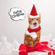 thumbnail image 3 of Conjunto De Gorro Y Bufanda Navideños Para Mascotas. Abrigo Corto De Invierno. Vestido Navideño Para Mascotas. Gorro Y Bufanda Navideños Para Mascotas. Adecuado Para Mascotas Pequeñas Y Medianas., 3 of 8