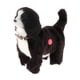 thumbnail image 2 of Animal doméstico electrónico educativo Sunnimix Collie Juguetes interactivos, 2 of 7
