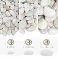 thumbnail image 2 of VINICS 20lbs Natural Unpolished Bulk Pebbles, 2-3 Inch White River Rocks, Hand-Picked Premium Stones for Landscaping and Garden Design Fish Tank, Flower Pots, Pathways and Backyard C99, 2 of 3