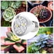 thumbnail image 5 of Lámpara de cultivo de plantas Bewildely E27-18W LED para Jardín de invernadero de plántulas de flores de interior, 5 of 6