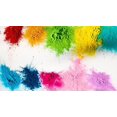 thumbnail image 2 of Festivals, Summer Camp, Color Toss Color Wars, Fun, 2 of 5