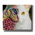 thumbnail image 1 of Epic Graffiti 'Elizabeth Pagiotas' by Dean Russo, Canvas Wall Art, 30"x26", 1 of 2